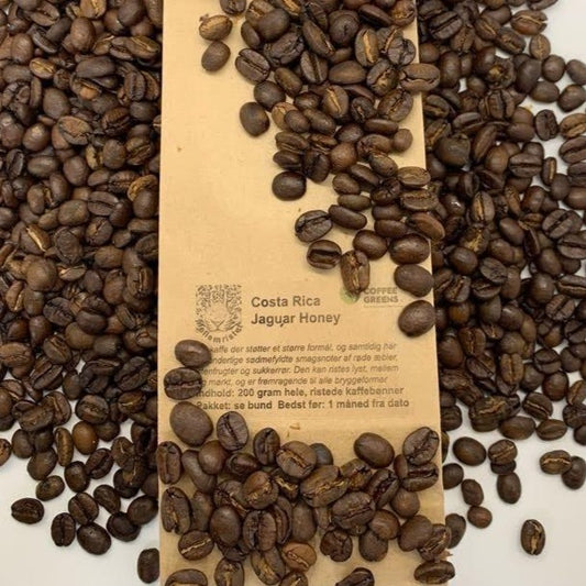 Costa Rica Jaguar Honey - Geröstete Kaffeebohnen