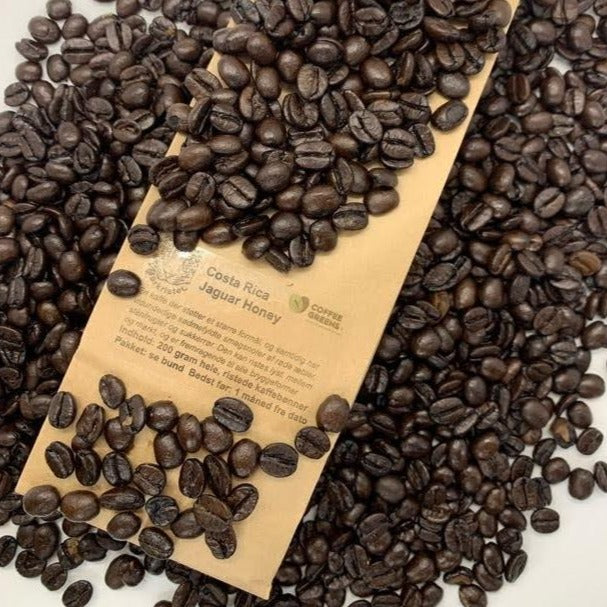 Costa Rica Jaguar Honey - Roasted Coffee Beans