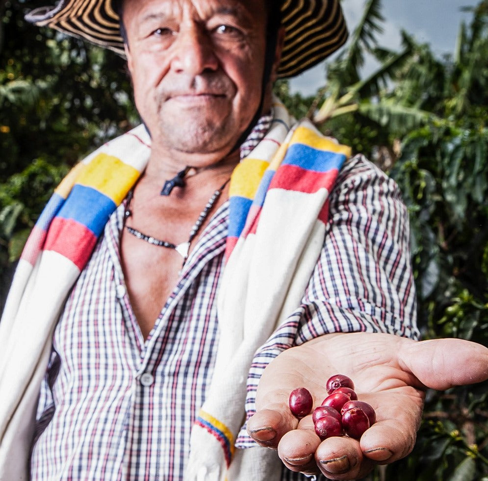 Colombia Narino Excelso - Rauwe, groene koffiebonen