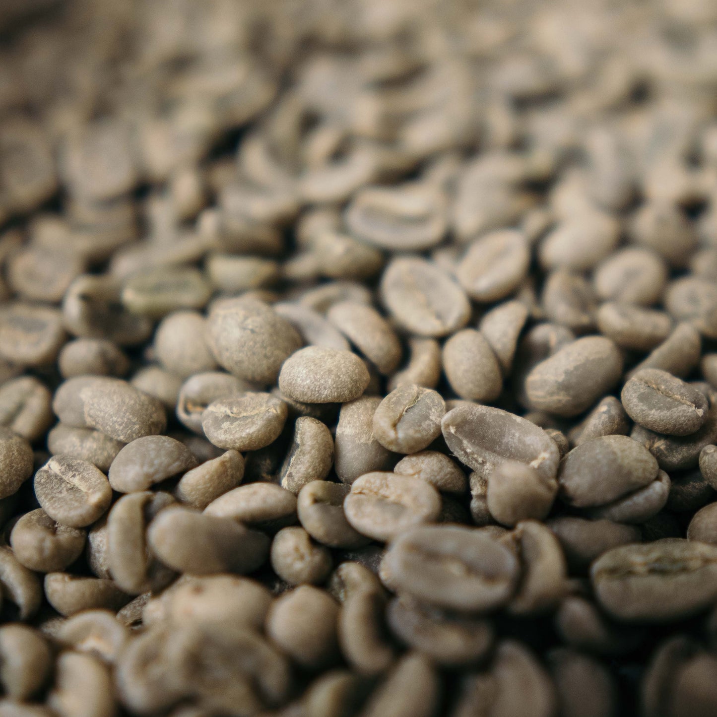 "Selassie"- Husblandning # 16:Ethiopia Espresso Intense - Rå, gröna kaffebönor.