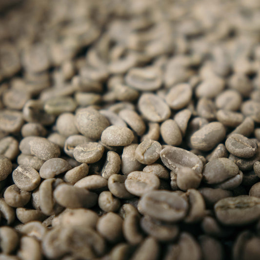 „Selassie“ – Hausmischung Nr. 16:Ethiopia Espresso Intense – Rohe, grüne Kaffeebohnen.