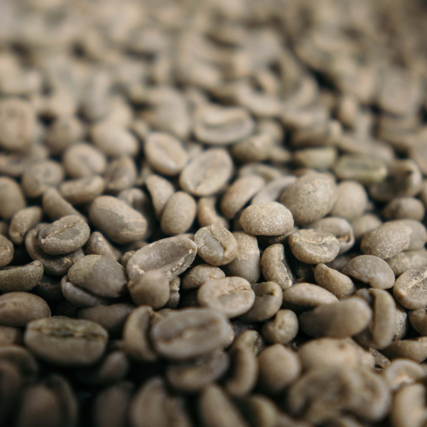"Helô"- Hausmischung #1:Brasilianischer Espresso Mild - Rohe, grüne Kaffeebohnen