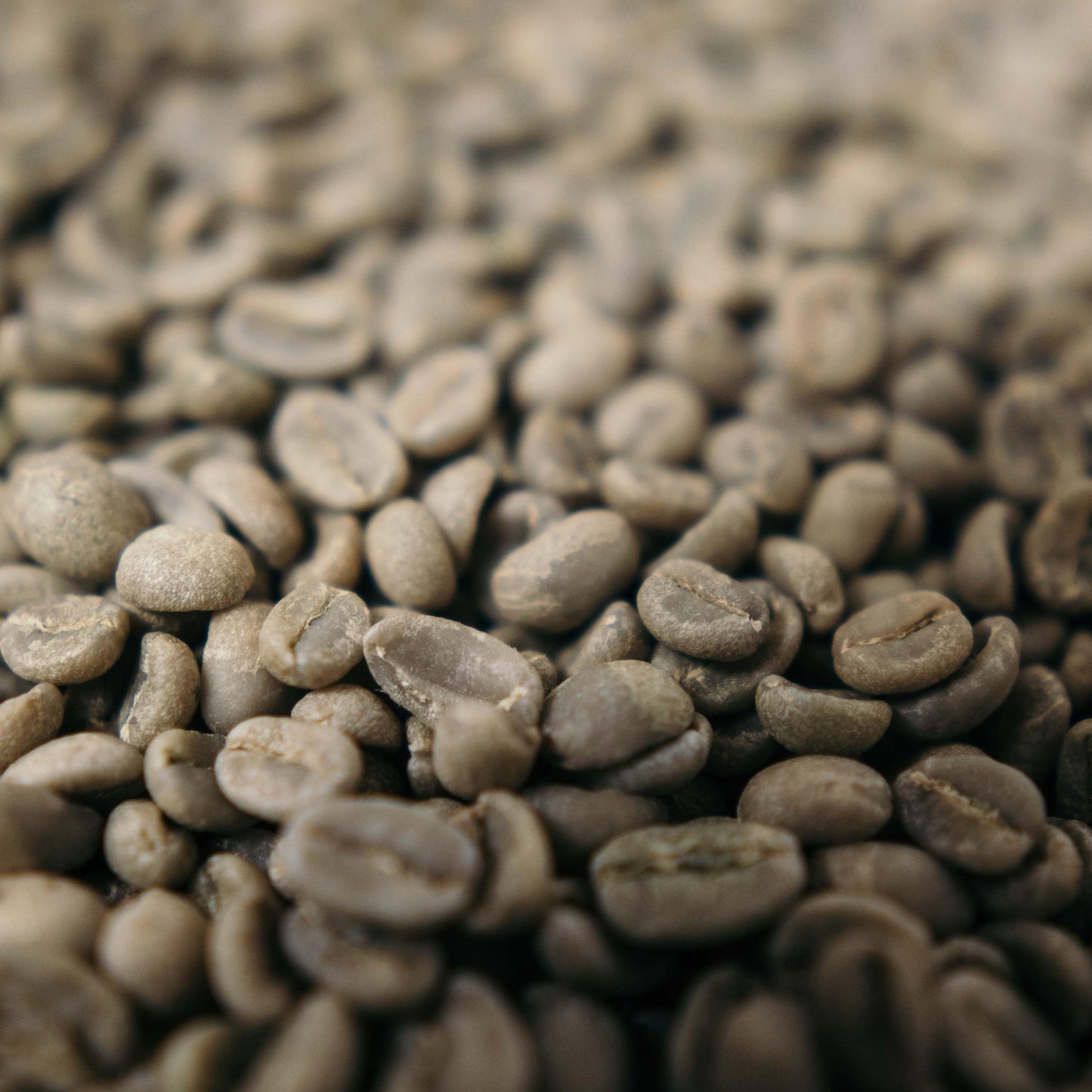 "Valderrama"- House blend # 4: Colombia Espresso Intense - Raw, green coffee beans