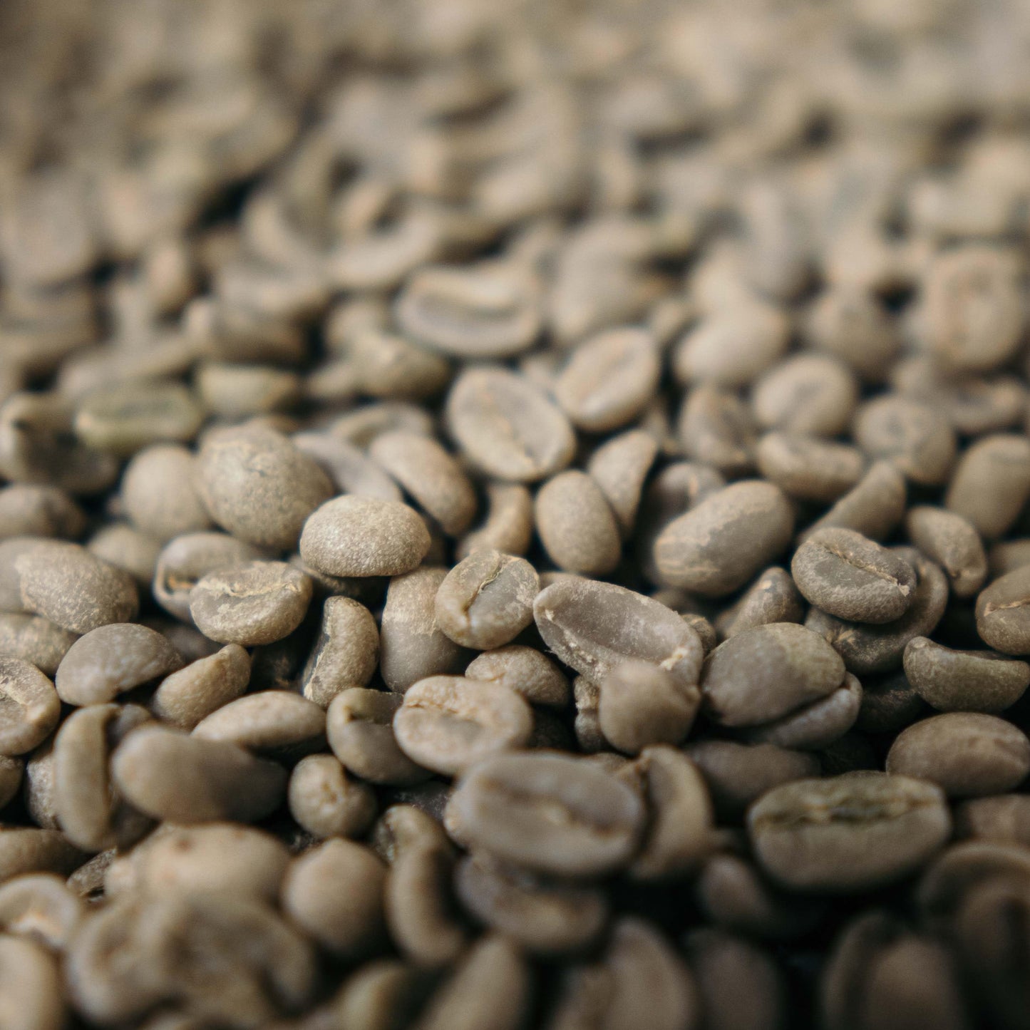 "Shakira"- Hausmischung Nr. 3:Colombia Espresso Mild - Rohe, grüne Kaffeebohnen