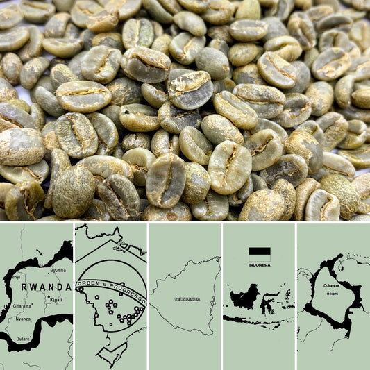 Arabica Single Origin Sample (5 x 200 grams) - Raw, green beans